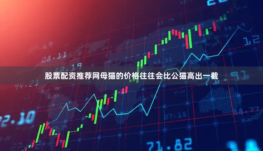 股票配资推荐网母猫的价格往往会比公猫高出一截