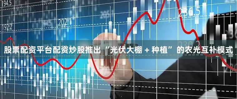 股票配资平台配资炒股推出 “光伏大棚 + 种植” 的农光互补模式
