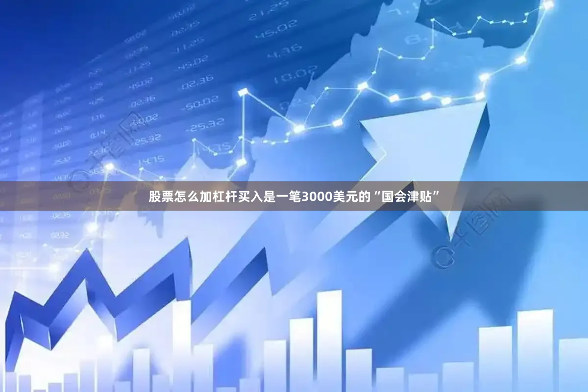 股票怎么加杠杆买入是一笔3000美元的“国会津贴”
