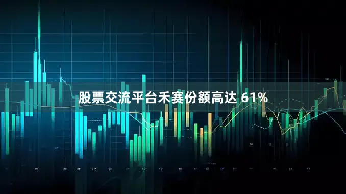 股票交流平台禾赛份额高达 61%